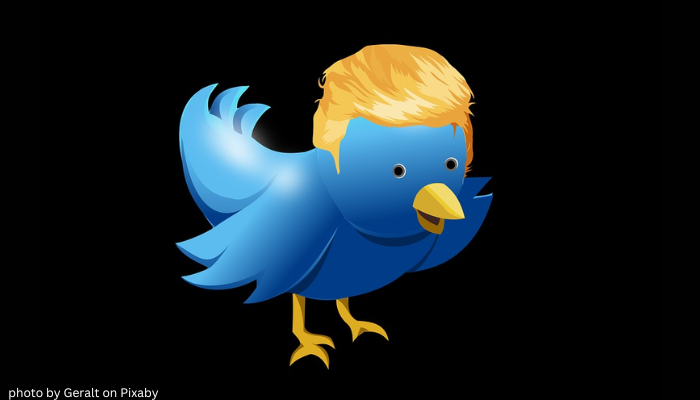 11.21.2022–NLS–Trump can now Tweet, FTX crypto scandal funded Democrats