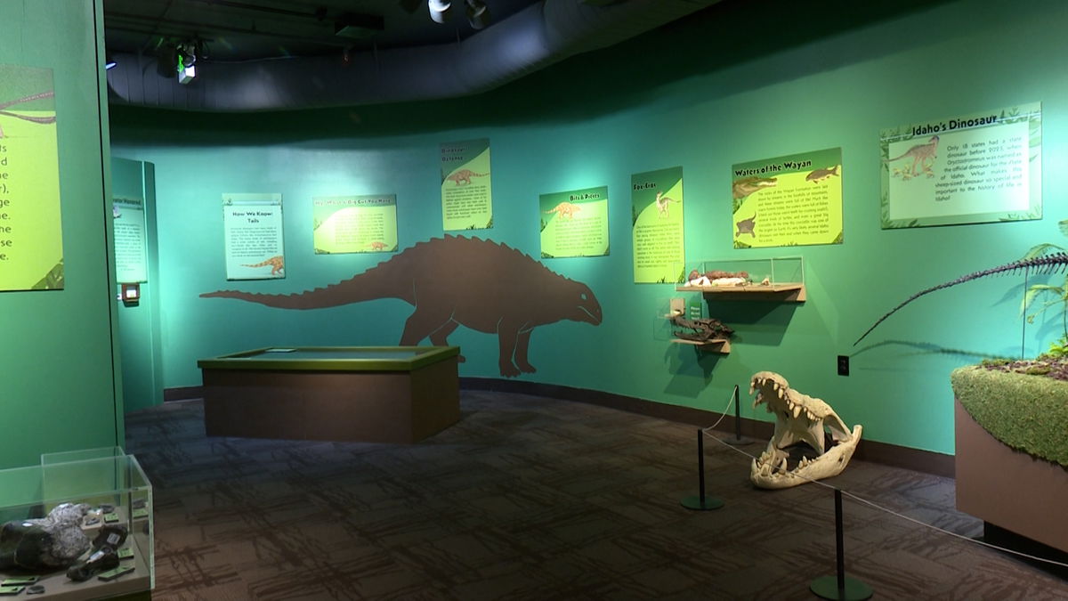 Fossil-fun-in-Pocatello-XXtXG5.jpg