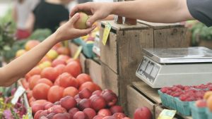 Idaho to Pause SNAP Benefits