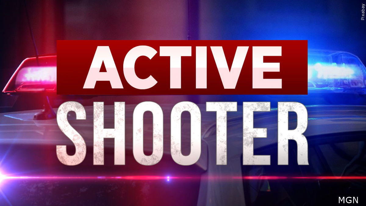 active-shooter-logo_shooting-logo__shooter-logo__Pixabay-C742En.jpg