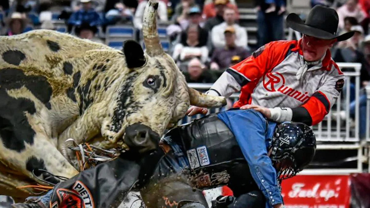 Rodeo-Nw1Ple.jpg