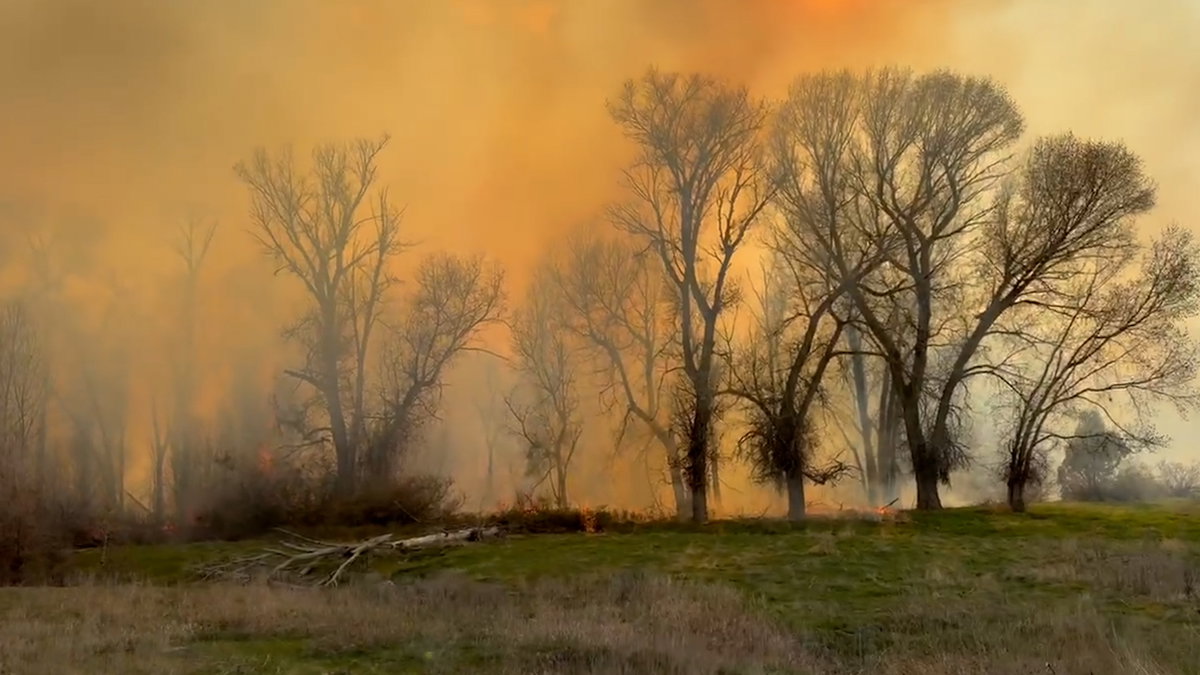 Wildfire-Evacuation-bkOHKZ.jpg