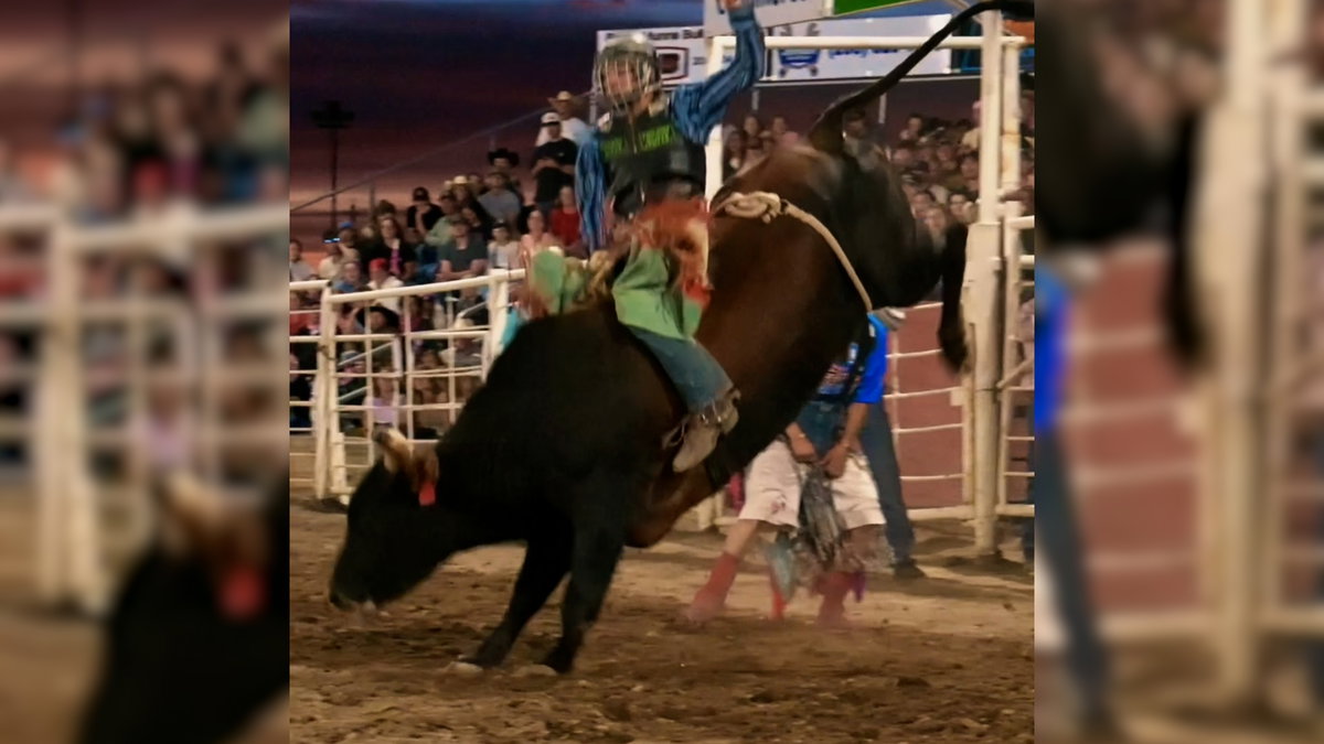 Bull-Riding-hp9pAc.jpg