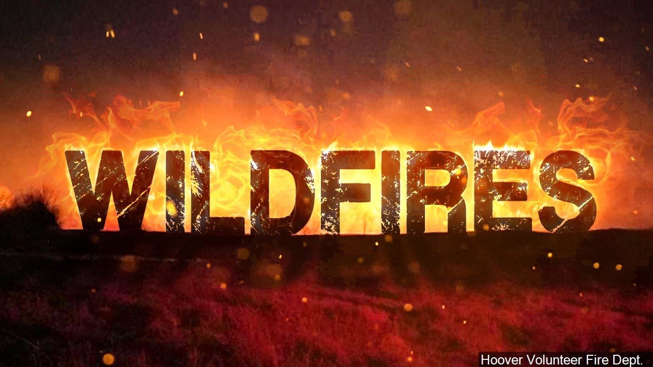 Wildfire-logo_Hoover-Volunteer-Fire-Dept.-WjKPPs.jpg
