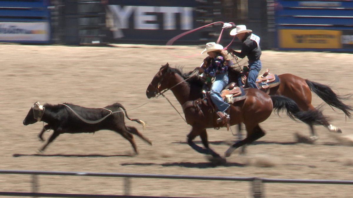 rodeo-pic-2-PHOpQr.jpg