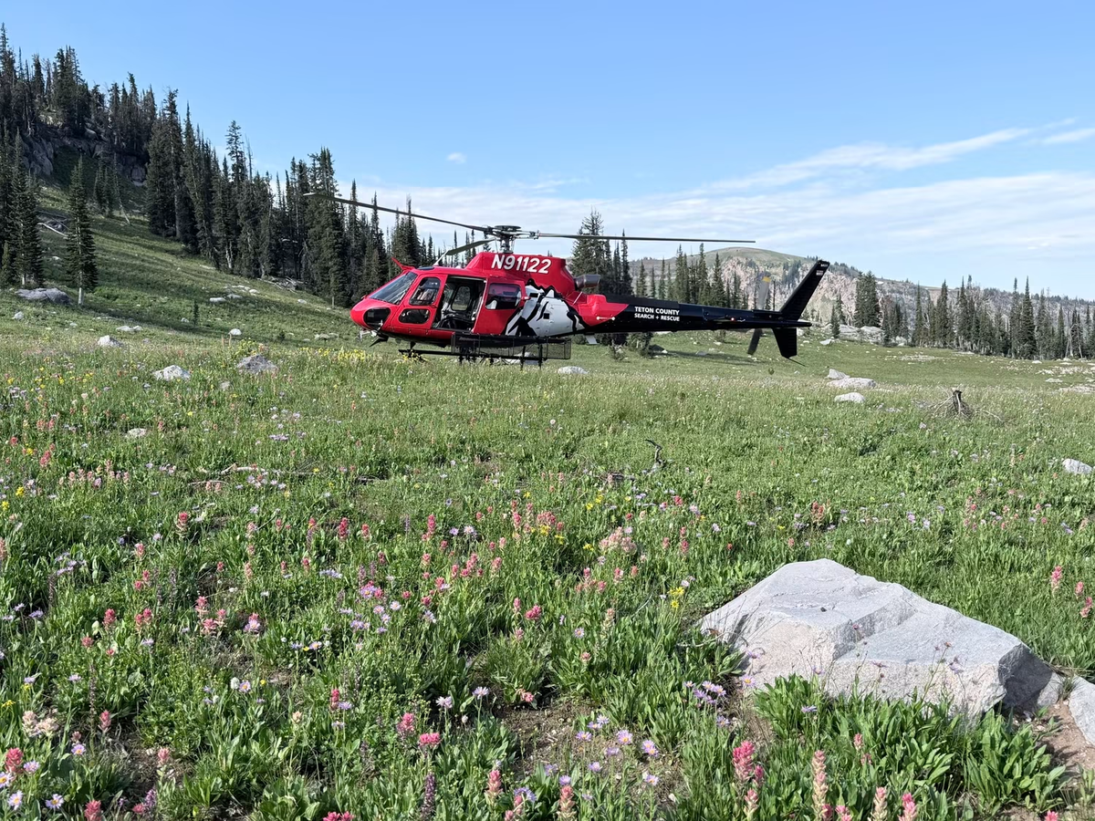Hiker-Found-Dead-63sKCF.png