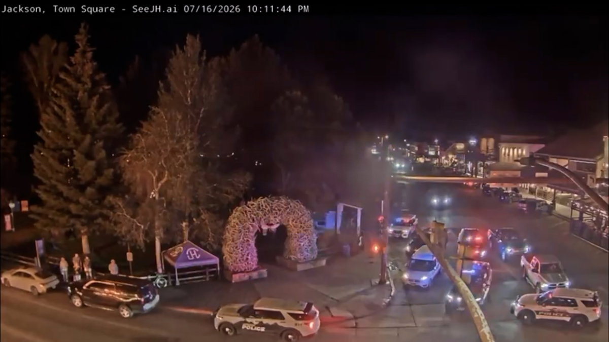 Police-Chase-0rrLK1.jpg