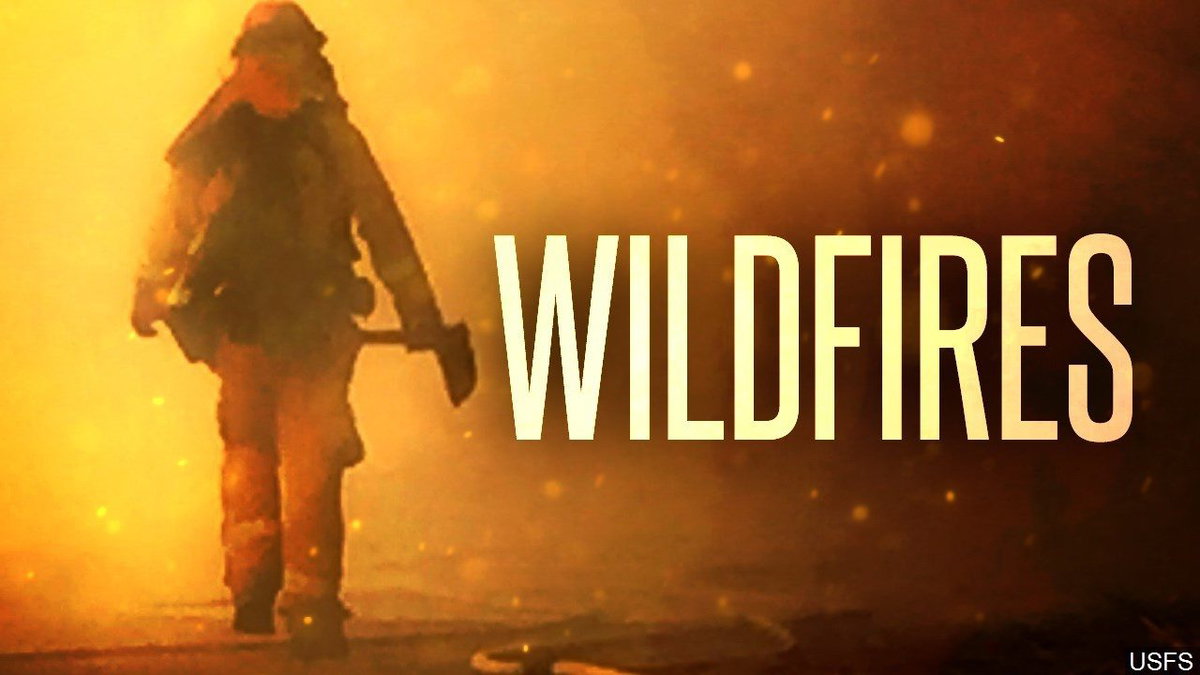 WIldfire-logo-_USFS-8xZ6qO.jpg