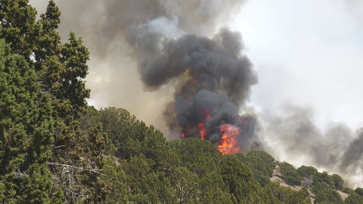 LbrN6wFo-Big-Rock-Fire-lMroLV.jpg