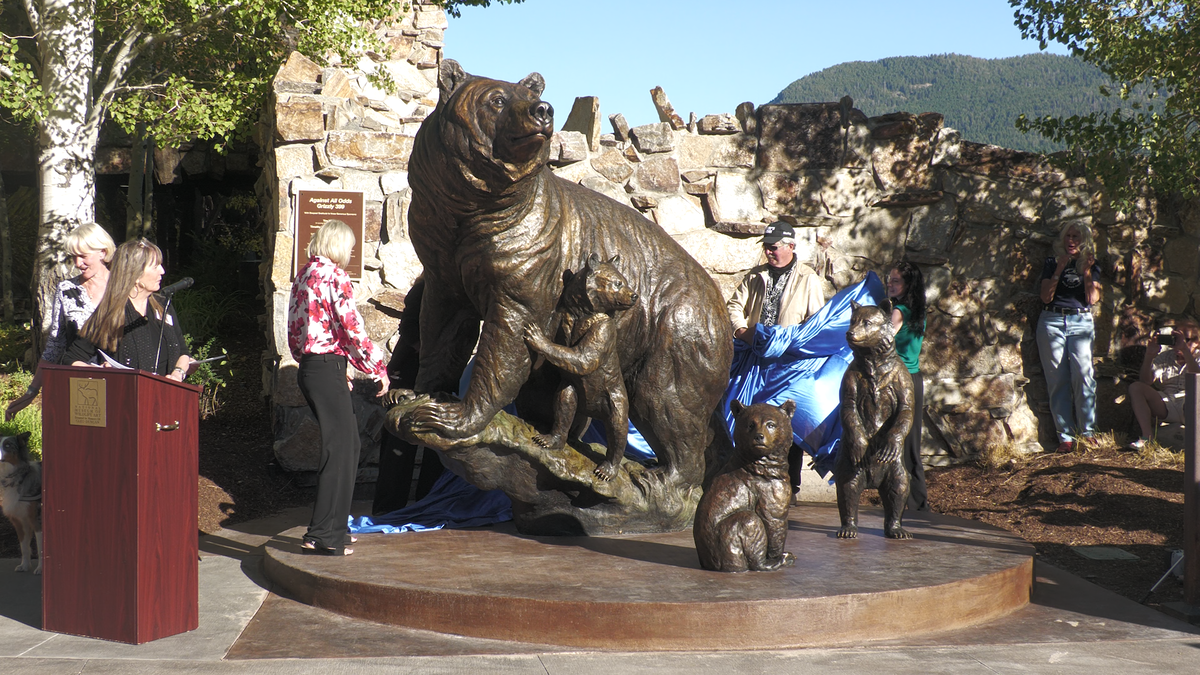 BEAR-VO.00_00_04_27.Still001-NxpCGl.png
