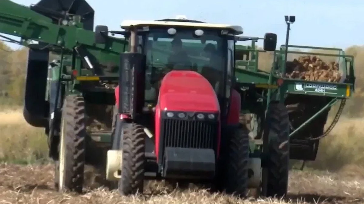 Tractor-0nQBvI.jpg