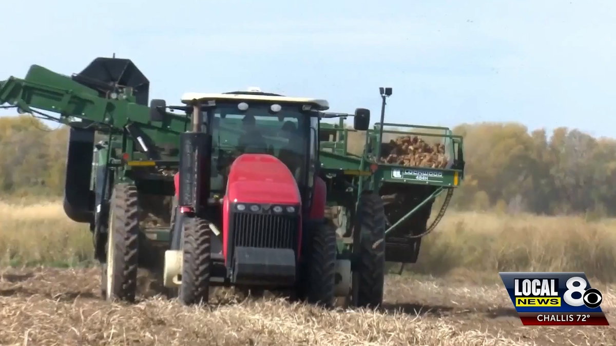 Tractor-CiEZp3.jpg